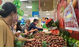 Bất ngờ với giá mận hậu vào mùa ở TPHCM