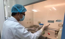 Nuôi cấy tế bào tại Bệnh viện Hùng Vương