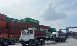 Thực hư 19 tấn cà phê, hạt tiêu xuất khẩu nghi bị ‘rút ruột’ tại cảng Cát Lái