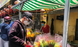 Các loại hoa cúng có giá từ 60.000-100.000 đồng/bó, tùy loại