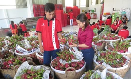 Thương chiến Mỹ - Trung không tạo ra nhiều cơ hội cho các ngành hàng xuất khẩu của Việt Nam