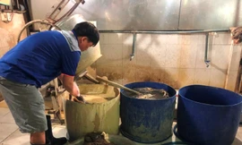 Ớn lạnh tẩy trắng phụ phẩm bò thối để bán cho quán nhậu