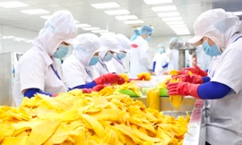 Doanh nghiệp vừa ‘tỉnh lại’ vật vã vì ‘3 mũi tiến công’