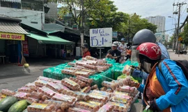 Vì sao trứng gà tràn chợ, giá chỉ 1.500 đồng/quả?