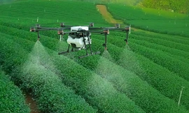 25 quốc gia cùng triển lãm công nghệ phát triển nông nghiệp xanh tại Việt Nam