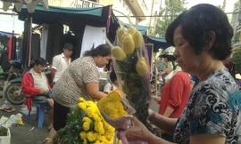 Bông vạn thọ 25.000-30.000 đồng/cây cúng ông Táo