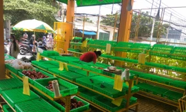 Lúc hơn 12 giờ trưa, nhiều quầy hàng tại siêu thị đã "sạch sẽ"