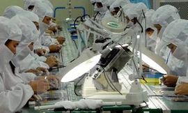 Các chuyên gia cho rằng, nhiều DN Việt chưa tận dụng hết cơ hội khi tham gia thị trường ASEAN