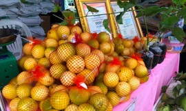 Chanh leo ngọt cả trăm nghìn đồng/kg vẫn 'cháy hàng'