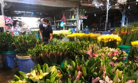 Chợ hoa Đầm Sen chờ khách ngày đầu mở lại