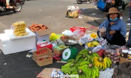 Thơm mini Thái Lan được người bán giới thiệu ở lề đường