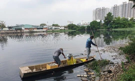 Cá chết đầy sông khu chung cư Ehome 3