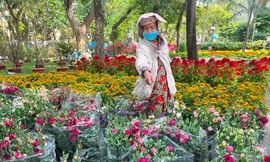 29 Tết: Chưa bao giờ hoa ế như năm nay!