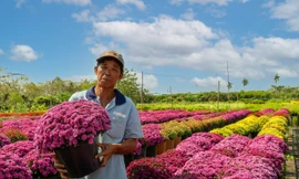 Bất ngờ tại phiên chợ hoa xuân Bình Điền - TPHCM