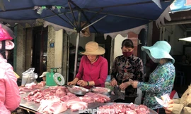 Giá thịt heo chợ lẻ vẫn đứng ở ngưỡng cao