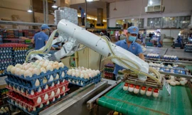 Những mặt hàng nào sẽ tăng giá từ 2/4?