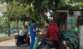 Nắng nóng, các loại nước giải nhiệt đắt hàng