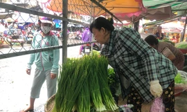 Thời tiết thất thường, giá rau xanh đắt ngang thịt heo