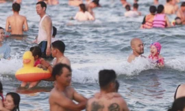 Mùa hè, tắm biển dễ bị sứa "cắn"