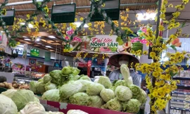 Nhiều siêu thị mở lại từ mùng 2 Tết nhưng khách khá vắng vẻ