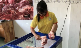 Dù giá khá cao nhưng heo thảo mộc vẫn được bà nội trợ tìm mua