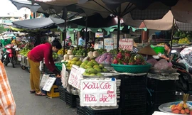 Xoài rộ chợ nhưng khá vắng người mua