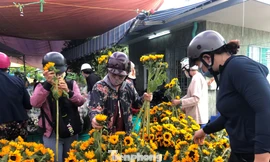 TPHCM: Chợ hoa Hồ Thị Kỷ 'xả hàng' kéo khách