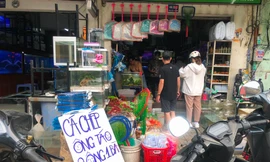 Mới lạ cá chép ‘2 ông 1 bà’ tiễn Táo quân về trời