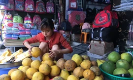 Cam Canh, bưởi Diễn giá rẻ đổ về TP HCM