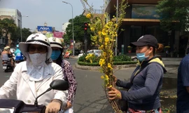 Cầm hoa trên tay bán cho "yên tâm"