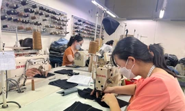 Doanh nghiệp Việt phải 'xanh hóa' để tham gia luật chơi mới