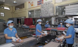 Doanh nghiệp thực hiện "3 tại chỗ" để không đứt gãy chuỗi cung ứng trong mùa dịch