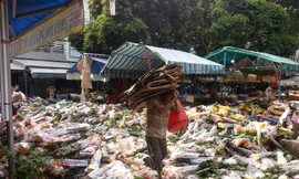 Hoa ế chất cao như núi ở chợ hoa sỉ Đầm Sen