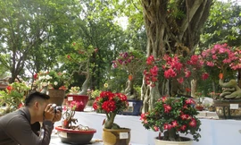 Người Sài Gòn thích thú ngắm "kỳ hoa dị thảo"