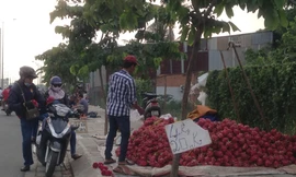 Nghịch lý trái cây: 'Nội' giải cứu, 'ngoại' xếp hàng chờ mua