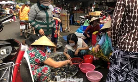 Trước 'bão' corona, cá lóc nướng vẫn đắt hàng ngày Thần Tài