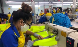 Thiếu vốn, doanh nghiệp xuất khẩu thoi thóp