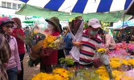 Hoa 'đại hạ giá' chiều 29 Tết ở TPHCM 