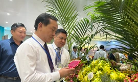 TPHCM sẽ làm cầu nối tiêu thụ đặc sản cả nước