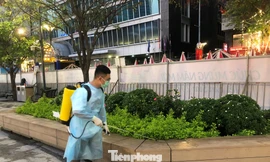 Đường hoa Nguyễn Huệ được phun khử khuẩn phòng COVID-19 hàng ngày