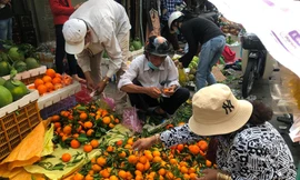 Nhộn nhịp phiên chợ ngày cuối năm ở TPHCM