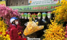 Tuyến đường Hải Thượng Lãn Ông rộn ràng những ngày trước tết