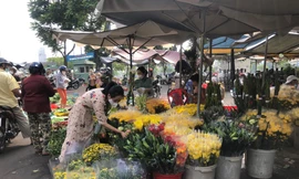 Nhiều loại hoa trái có giá rẻ trong ngày rằm nhưng vắng khách