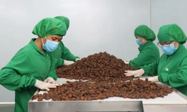 Kết thân với kiều bào hồi hương để bán hàng khắp thế giới