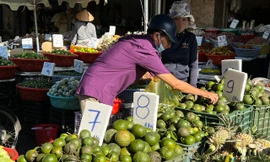 Trái cây rẻ không tưởng, cam sành chỉ 7.000 đồng/kg