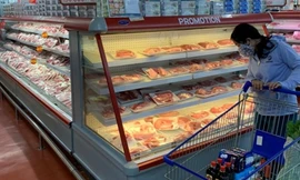 MM An Phú được hoạt động trở lại