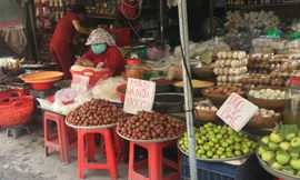 Mận hậu Việt Nam, giá từ 80.000-100.000 đồng/kg