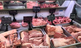 Thịt heo có nơi bán tới gần 300.000 đồng/kg tại TPHCM