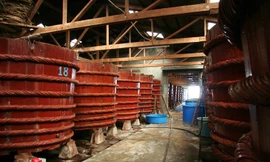 Doanh nghiệp Việt có nhiều cơ hội xuất khẩu hàng sang thế giới