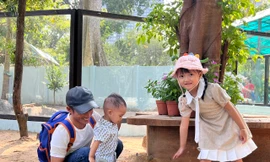 Đổ xô vào Thảo Cầm Viên chơi với capybara